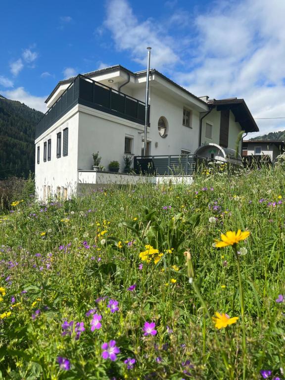 a field of flowers in front of a house at Haus Abendrot in Sankt Anton am Arlberg