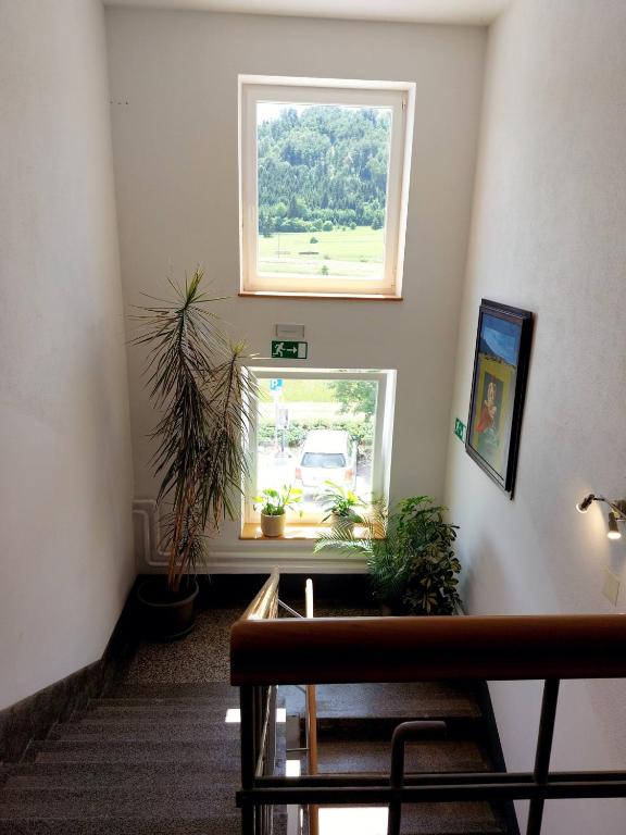 Fotografie z fotogalerie ubytování Prenočišča Miklavčič v destinaci Nova Vas