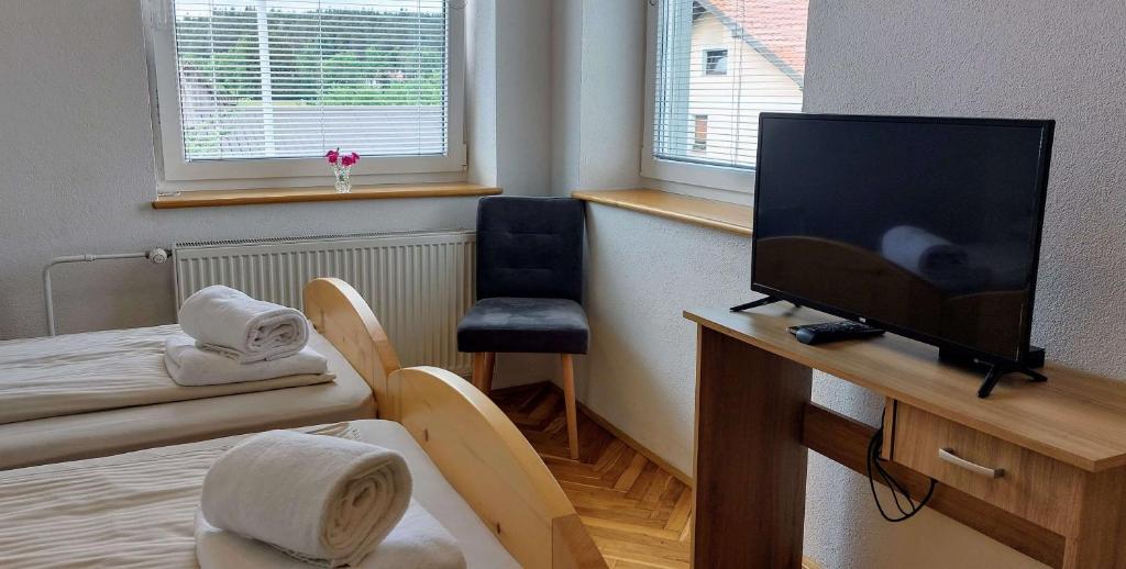 TV a/nebo společenská místnost v ubytování Prenočišča Miklavčič