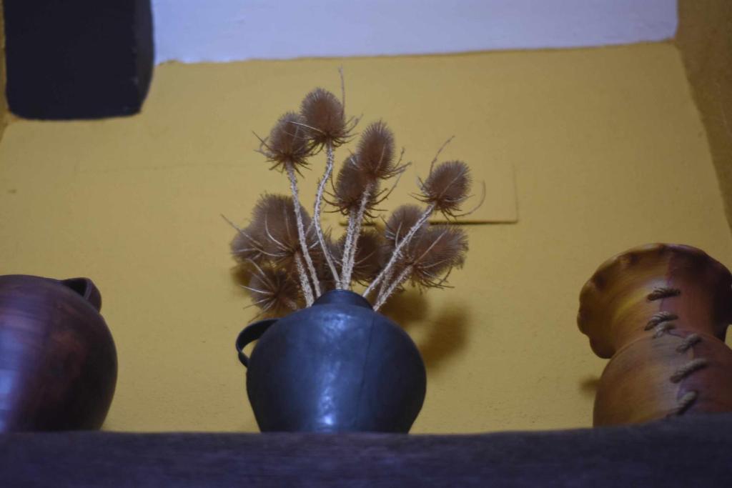 Fotografia z galérie ubytovania Casa rural de estilo rustico con SPA v destinácii Almagro