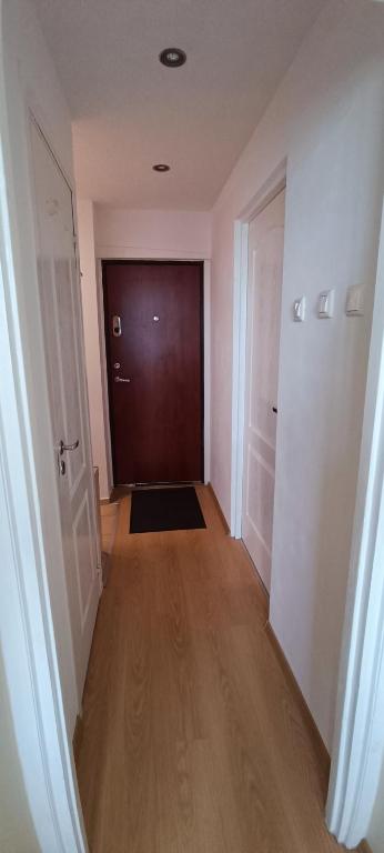 Adelės Apartamentai Panevėžyje - One-Bedroom Apartment
