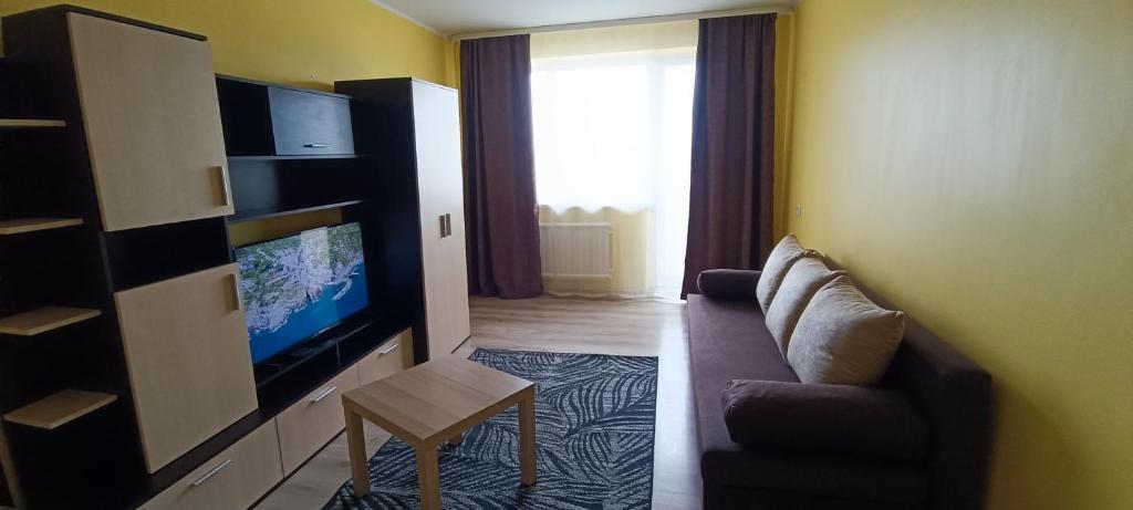 a living room with a couch and a flat screen tv at Adelės Apartamentai Panevėžyje in Panevėžys