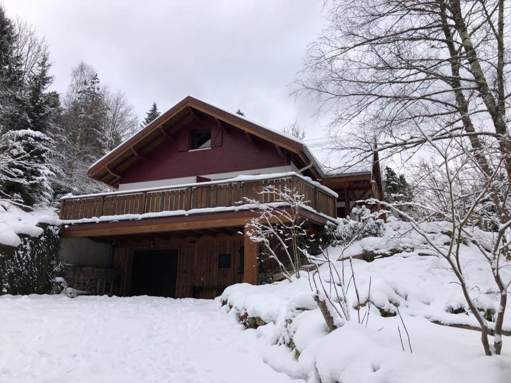 LES CIMES BLANCHES CLEDICIHOME Chalet 10 pers SPA & Grand terrain 4 MINUTES DES PISTES v zime