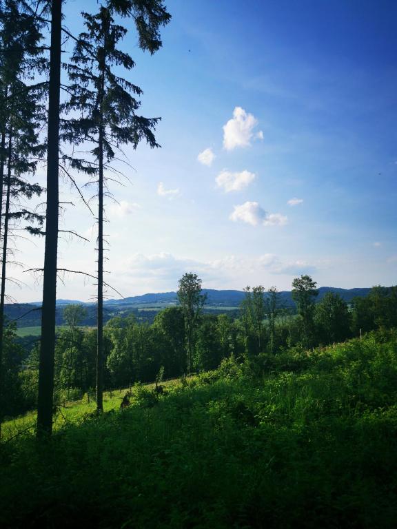 Príroda v okolí dovolenkového domu