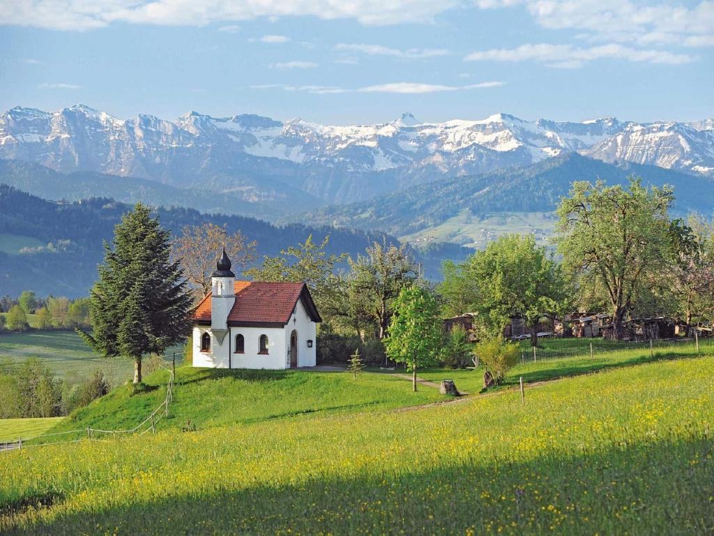 Příroda nedaleko apartmánu