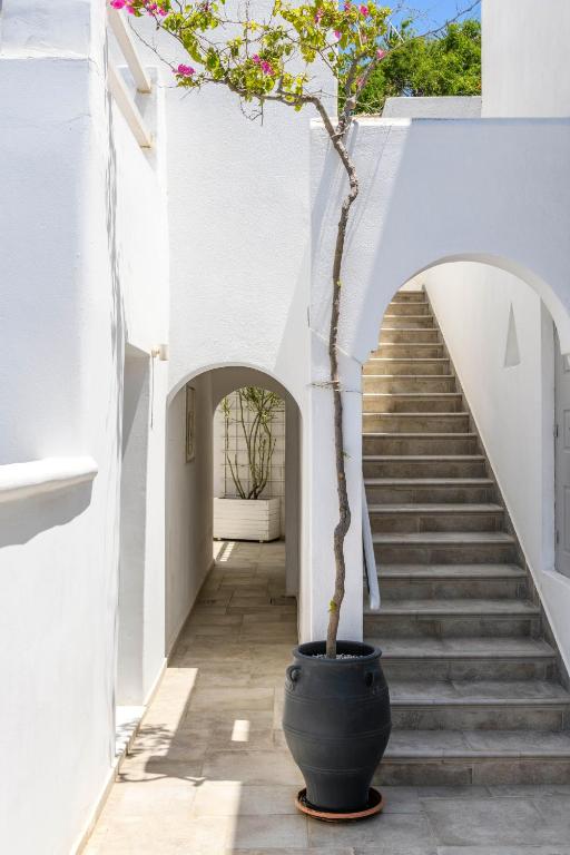 Fotografie z fotogalerie ubytování Casa Anna Suites ve městě Mykonosu