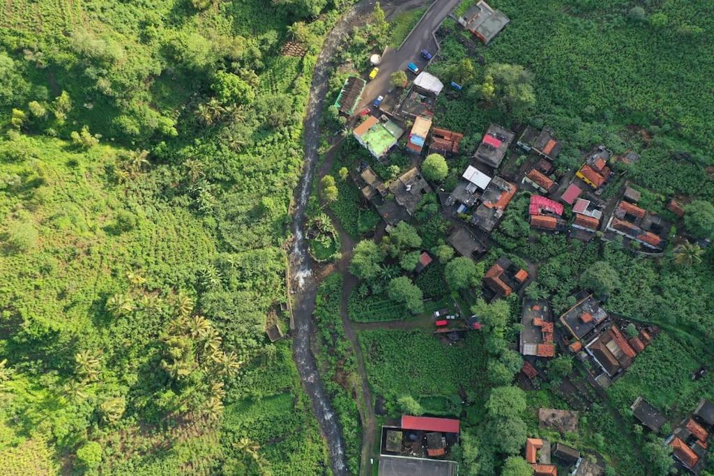 an overhead view of a group of houses in a forest at gîte de rando haut in Mato Correia