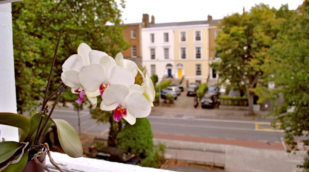 El barrio en el que está el hotel o un barrio cercano
