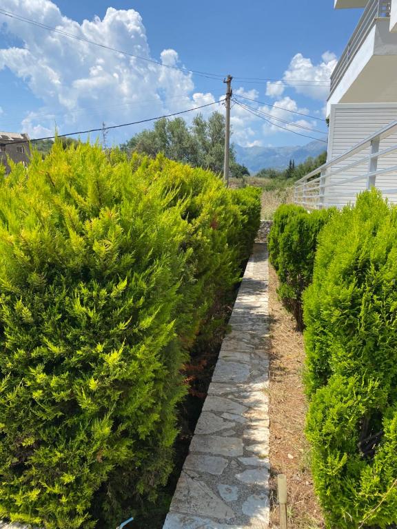 Vila Llaman - Housity