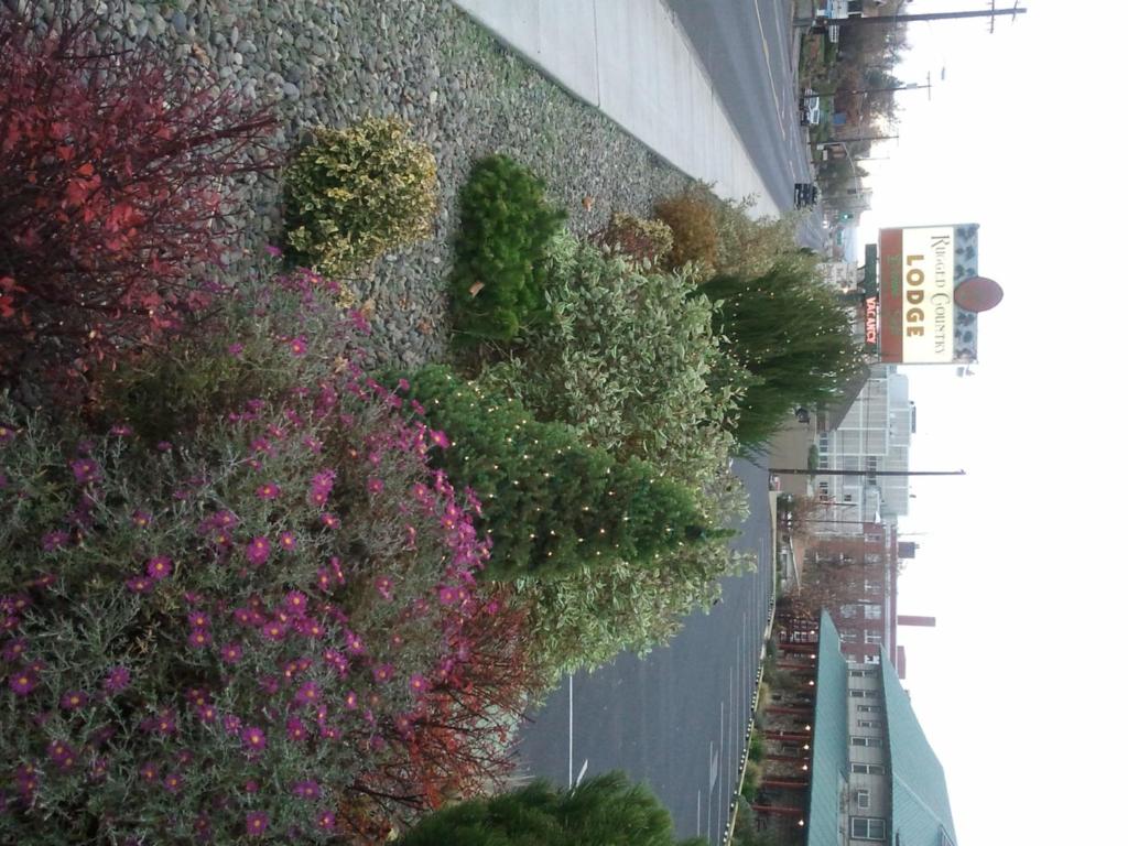 a row of plants on the side of a building at Rugged Country Lodge in Pendleton