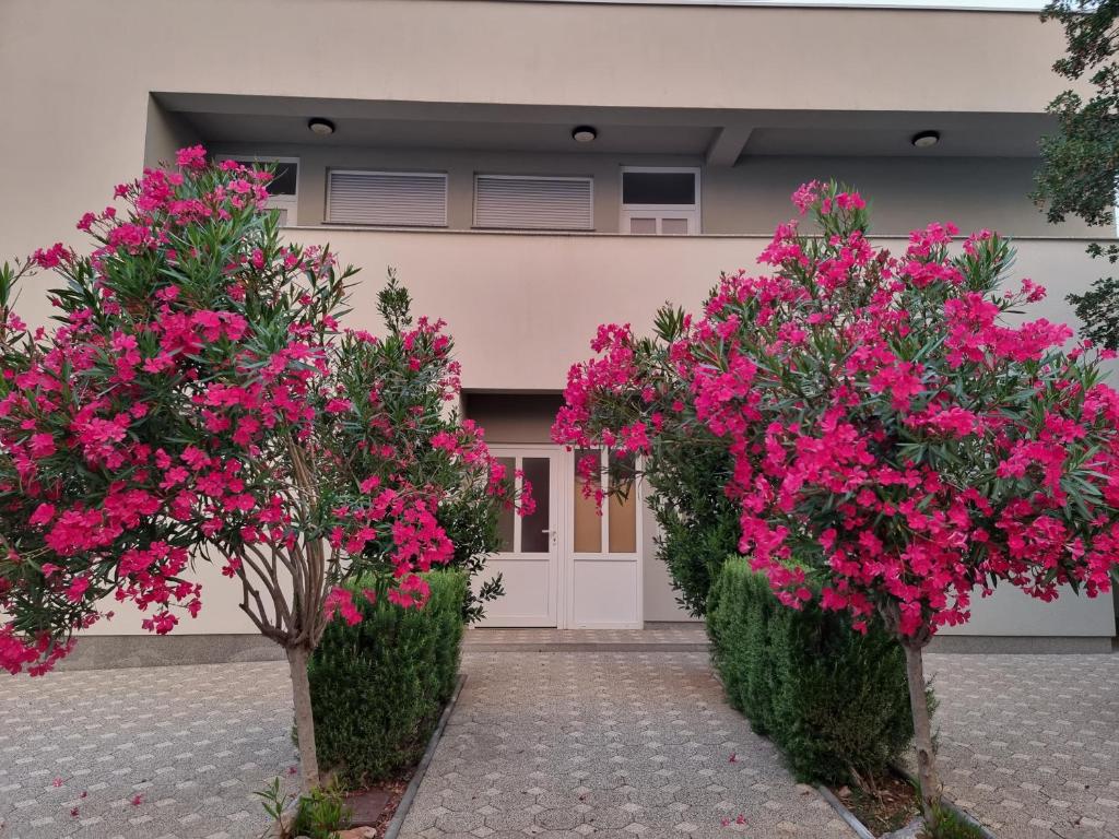 Zahrada ubytování Apartmani Jozic