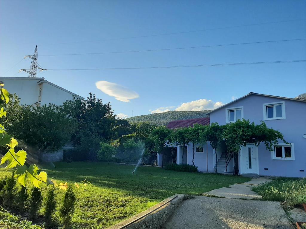 Příroda nedaleko apartmánu