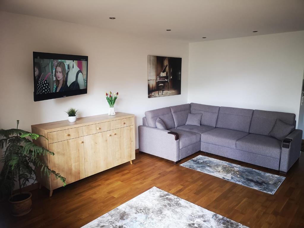 salon z kanapą i drewnianą szafką w obiekcie Apartament Korczaka Centrum w mieście Suwałki