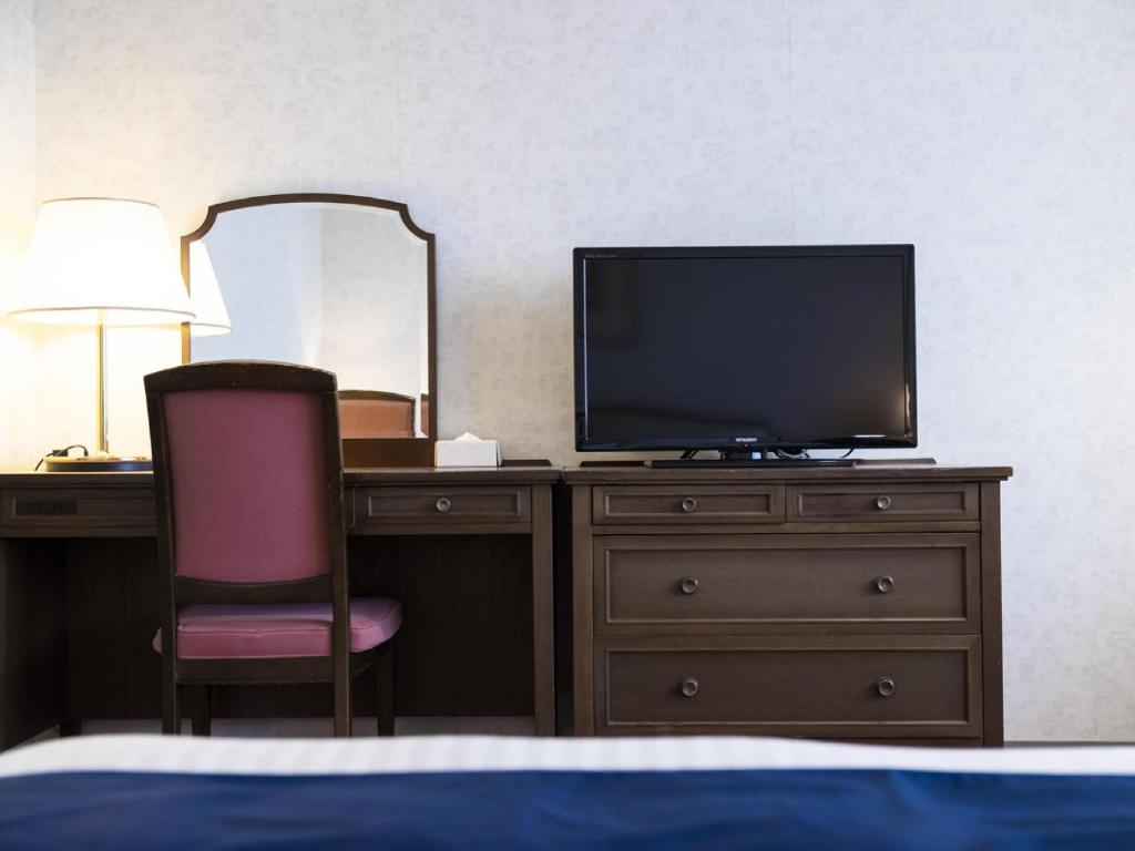 TV a/nebo společenská místnost v ubytování Ariston Hotel Kobe