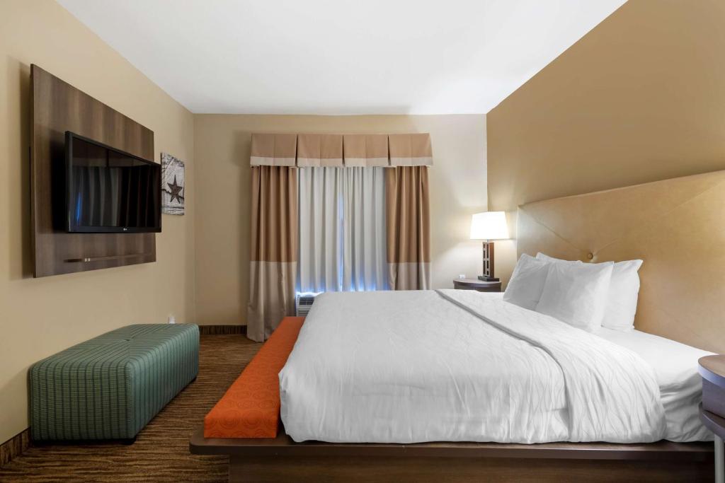 Best Western Plus DFW Airport Suites - King Suite - Non-Smoking