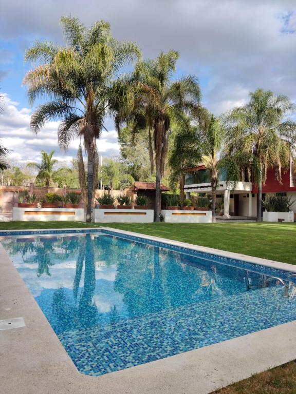 - une piscine en face d'une maison avec des palmiers dans l'établissement Finca el Nogal - Casa Entera Familiar Moderna con Amplio Jardín Atlixco puebla, à Atlixco