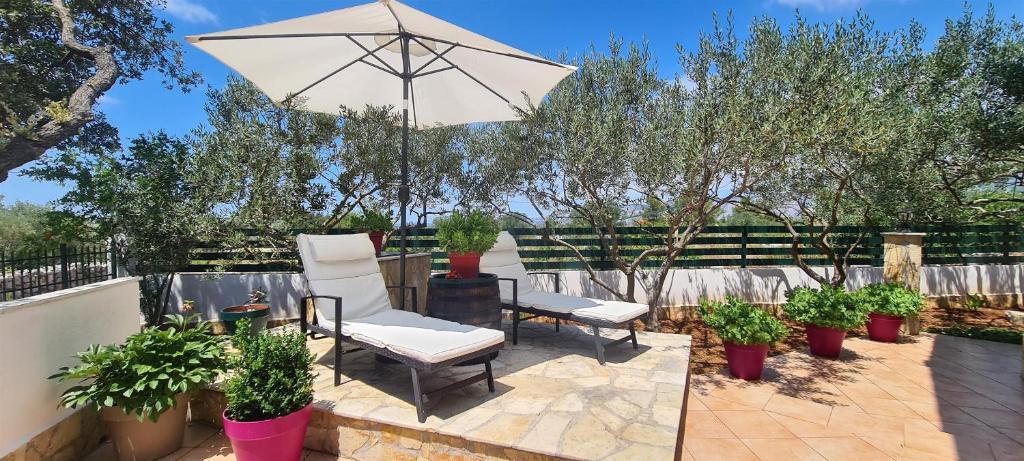 House Relaxing oasis – Photos 1