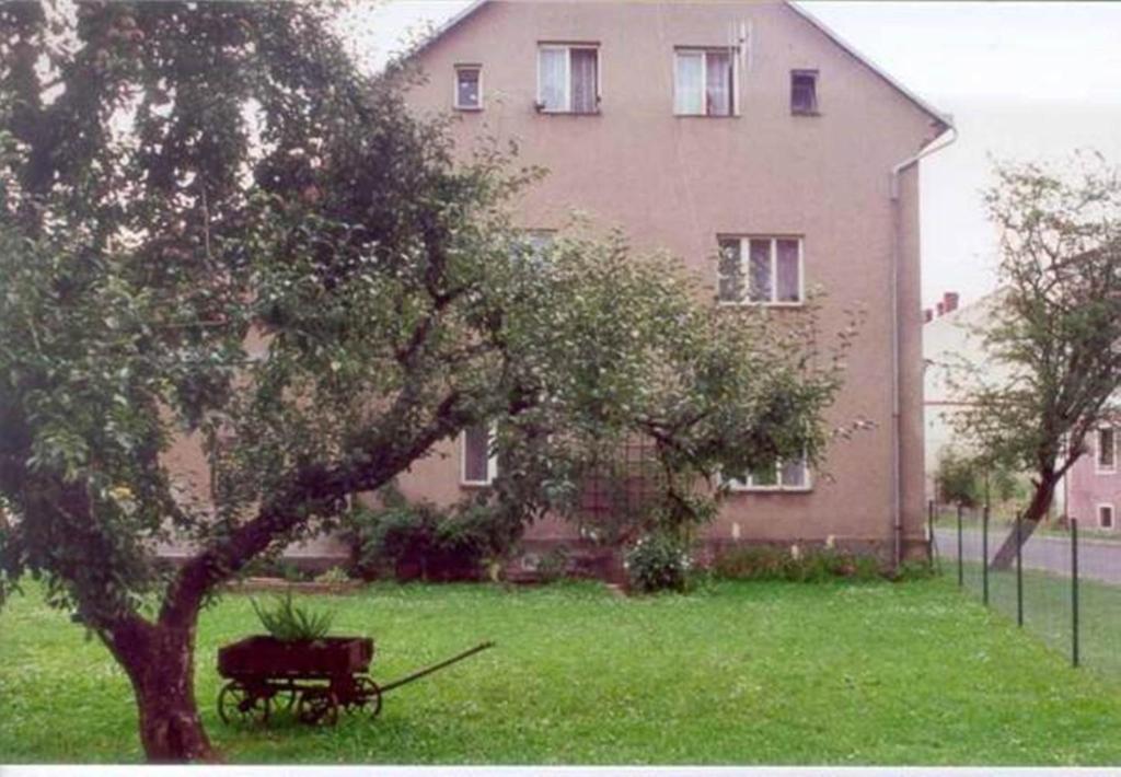 Zahrada ubytování Ubytování v Mladých Bukách