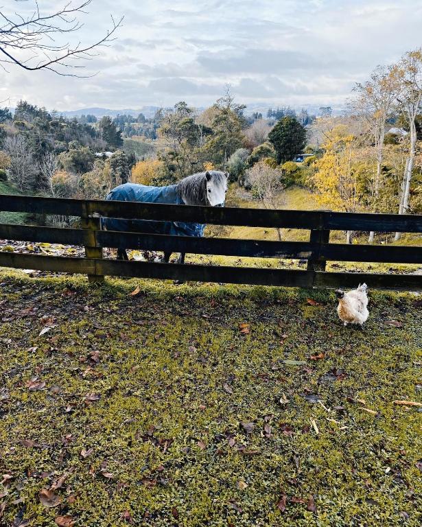 The little cottage - Resim 36