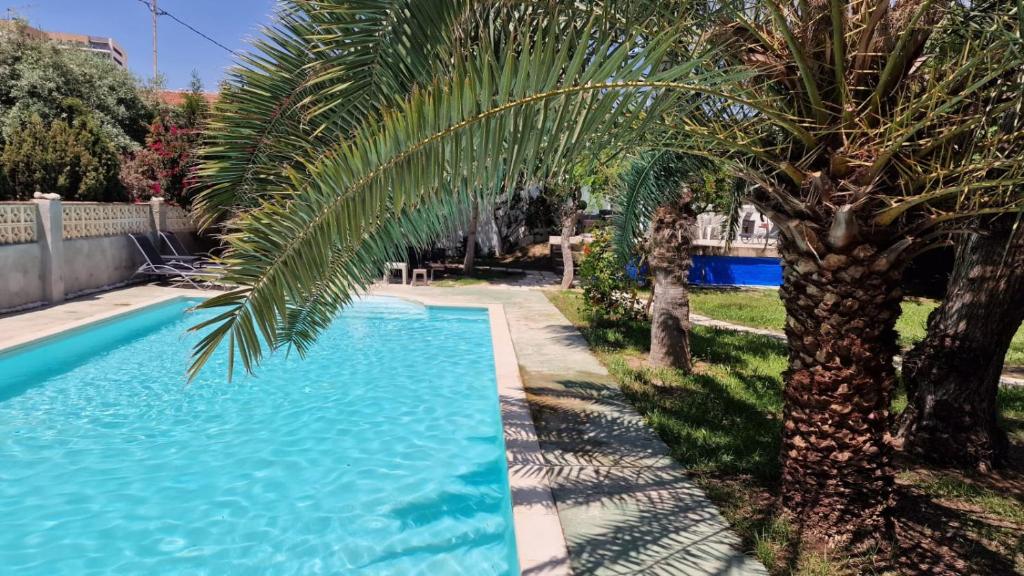 eine Palme und ein Pool im Hof in der Unterkunft House with exclusive pool and garden 7 min walk from the beach and the center in El Campello