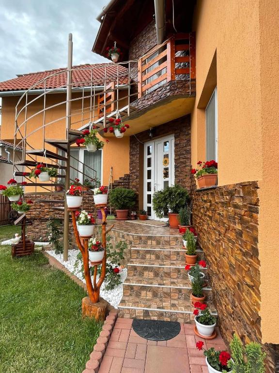 Zahrada ubytování Casa de Oaspeti Cristian
