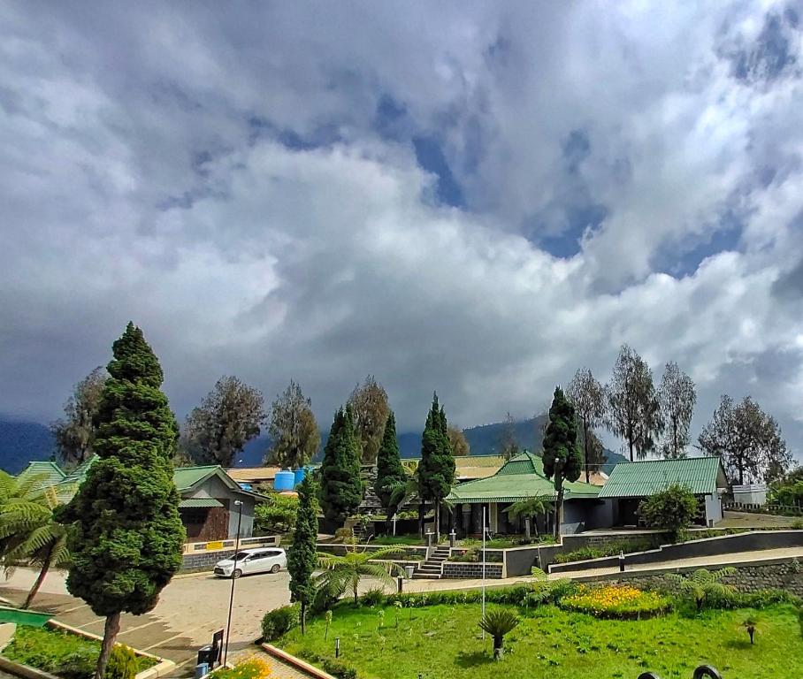 una vista de una ciudad con árboles y un cielo nublado en Bromo Permai 1 en Bromo