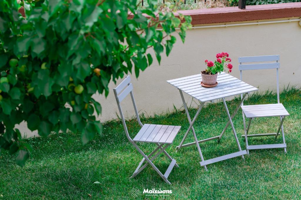 Zahrada ubytování HELIANTHOS VILLA - APARTMENT No2