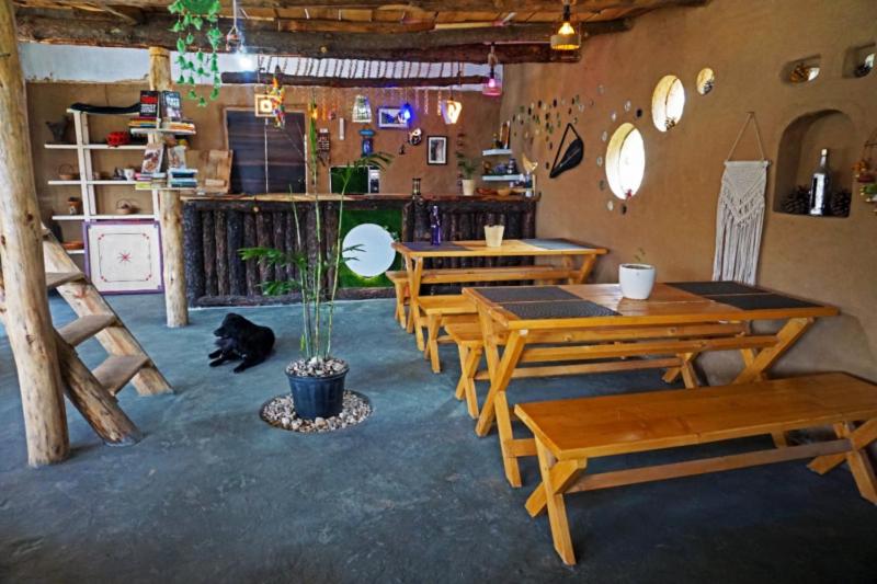 a room with wooden tables and a dog laying on the floor at Crazy Cub Camp in Bīr