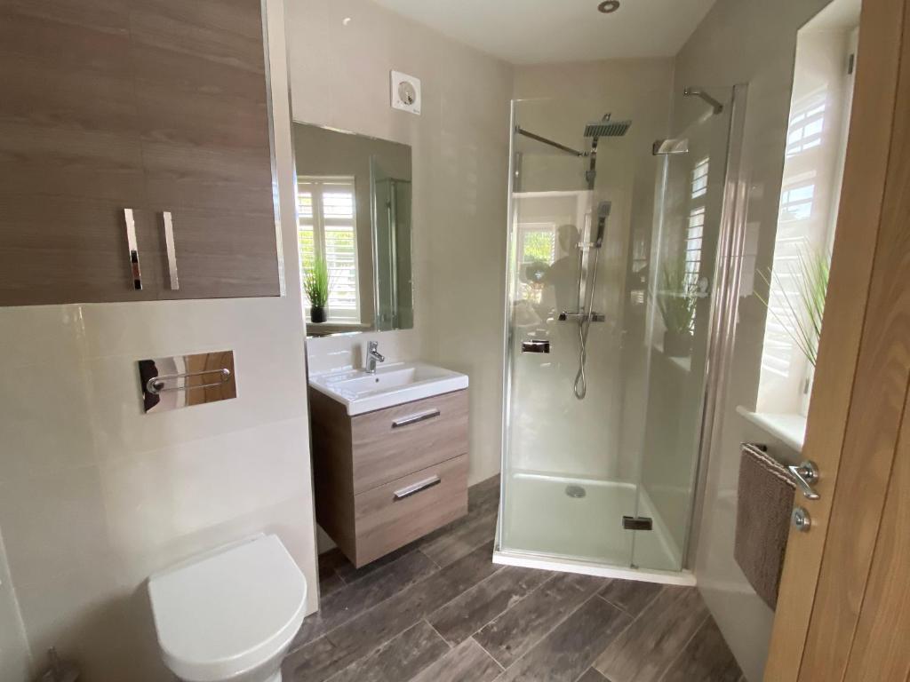 a bathroom with a shower and a toilet and a sink at The Bolthole in Margate