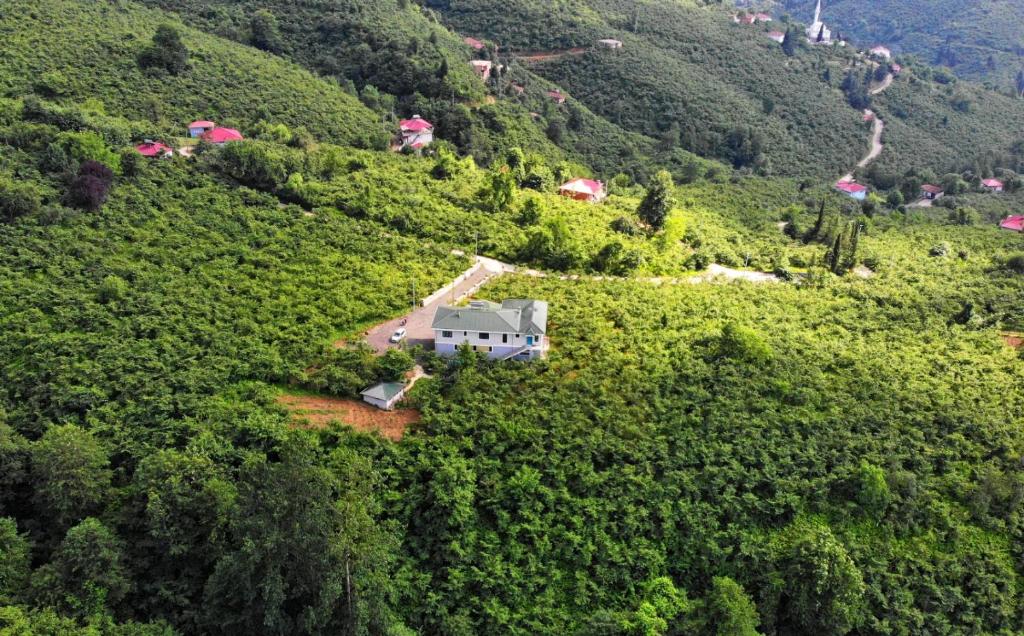 Luxury Nature Life Villa - Villa
