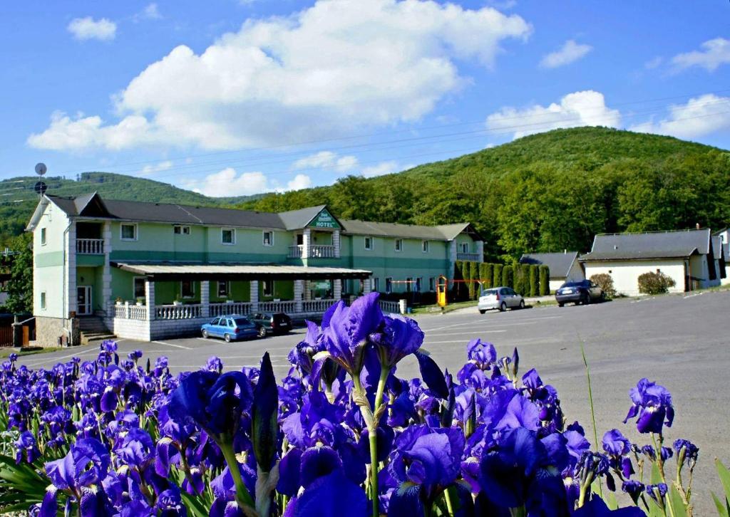 a bunch of purple flowers in front of a building at Hotel Biele Studničky Dargov in Drahov