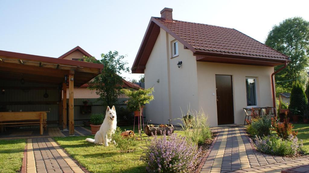 Domek pod różą