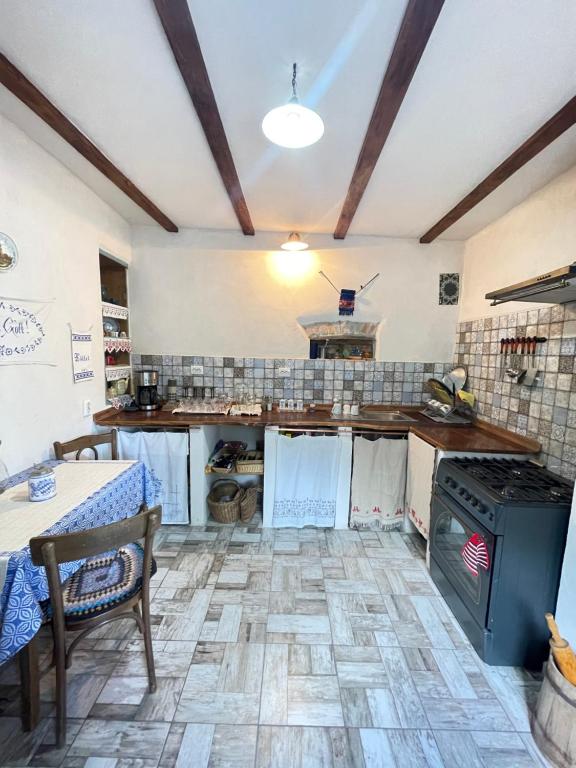 Kuchyň nebo kuchyňský kout v ubytování Saschiz 175 GuestHouse