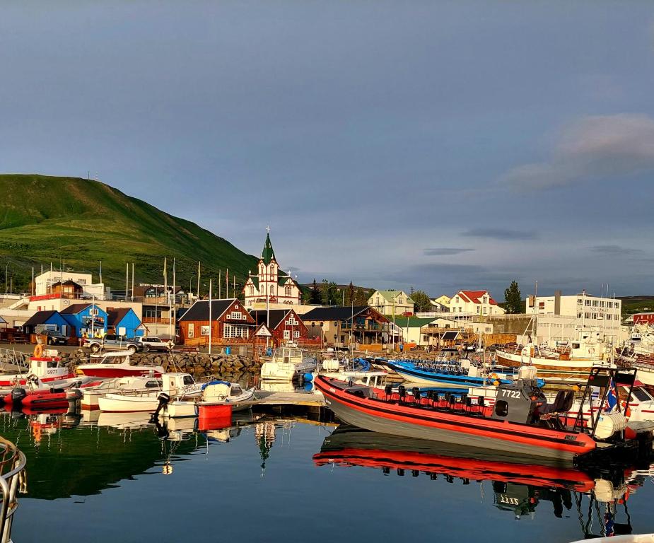 a group of boats are docked in a harbor at Apartment in the center in Húsavík