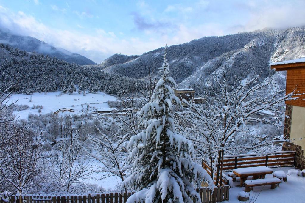 un albero di Natale coperto di neve davanti a una casa di Likani-house's Cottage a Borjomi