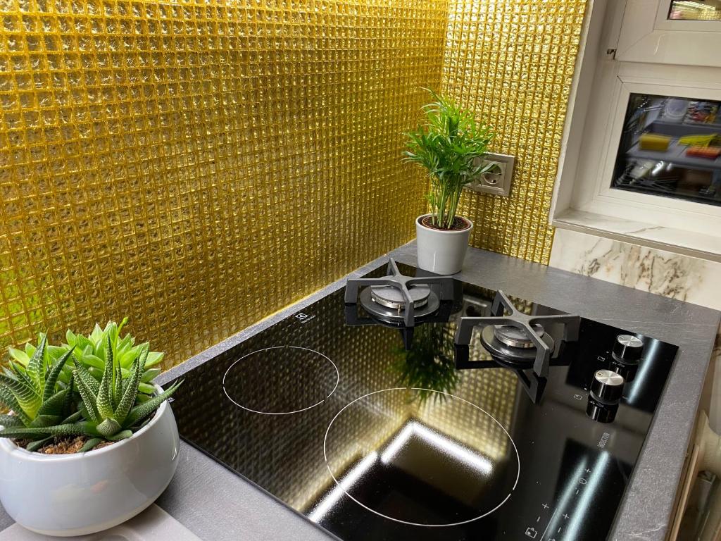 Kuchyňa alebo kuchynka v ubytovaní Lonyay Street Apartment
