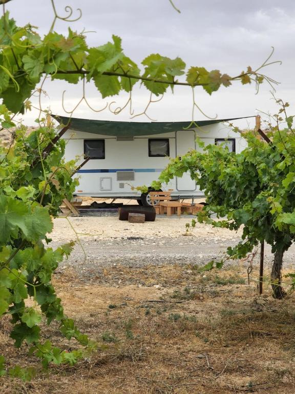 Zahrada ubytování Itav Bateva Caravans - ייטב בטבע קרוואנים