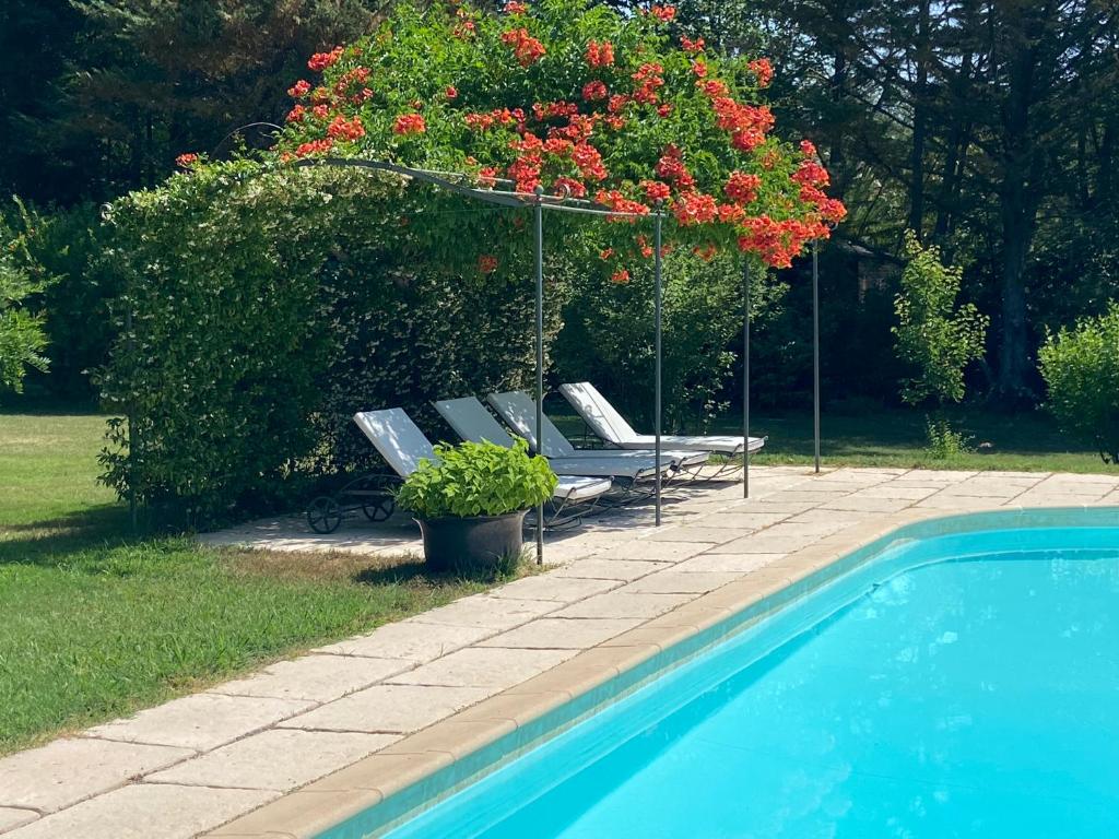 uma piscina com duas espreguiçadeiras e um arbusto com flores vermelhas em Villa de Miha em Valbonne