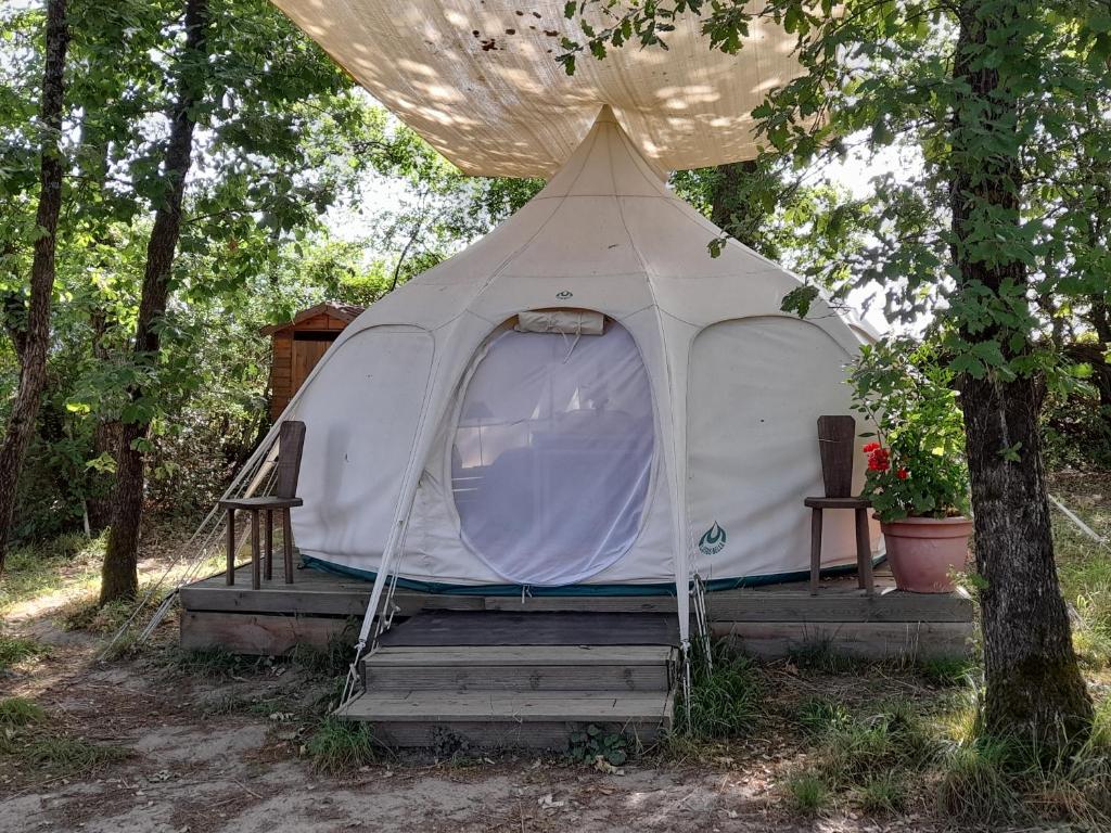 uma tenda branca sentada sob uma árvore na floresta em le clos de épinettes em Angé