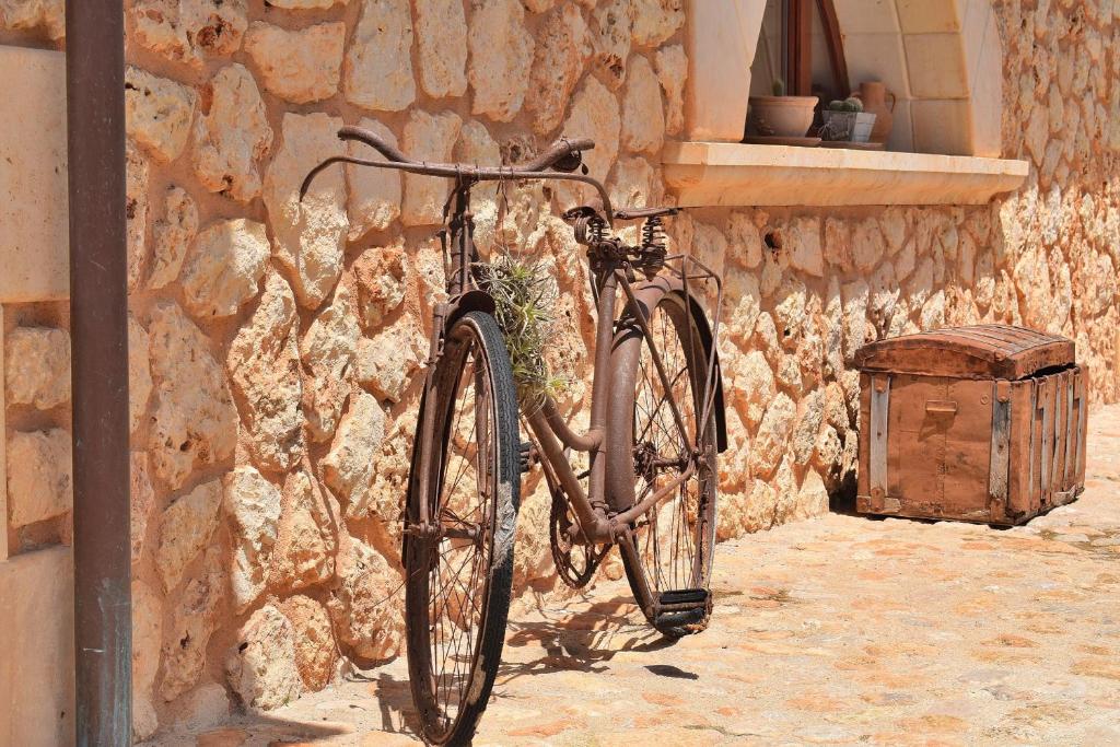 Jízda na kole v ubytování 239 Villa Biniaco ETV4993 by Mallorca Charme nebo okolí