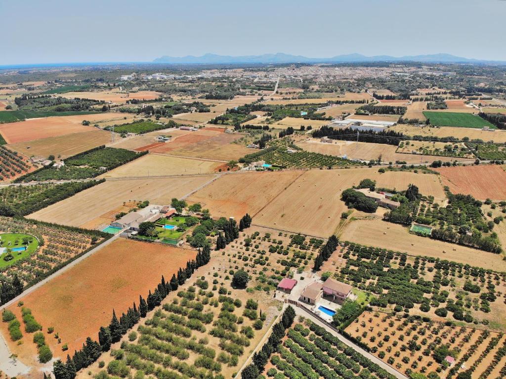 Letecký snímek ubytování 239 Villa Biniaco ETV4993 by Mallorca Charme
