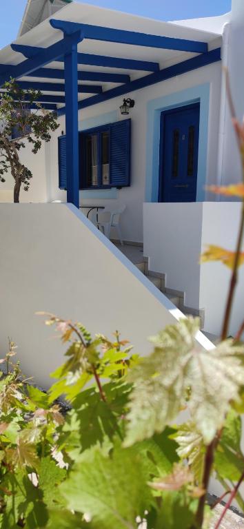 a house with a blue door and some plants at Georgia in Léntas