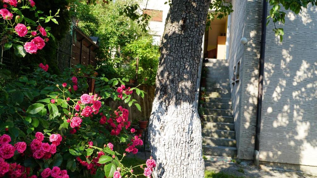 A garden outside Hedgehog's Home - Ježeva kućica Free Parking
