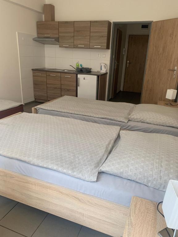 Fotografie z fotogalerie ubytování Apartmány Havlíčkova v destinaci Mladá Boleslav