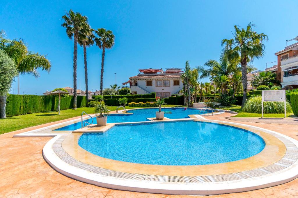 a swimming pool in a yard with palm trees at HE ZENIAMAR X in Alicante