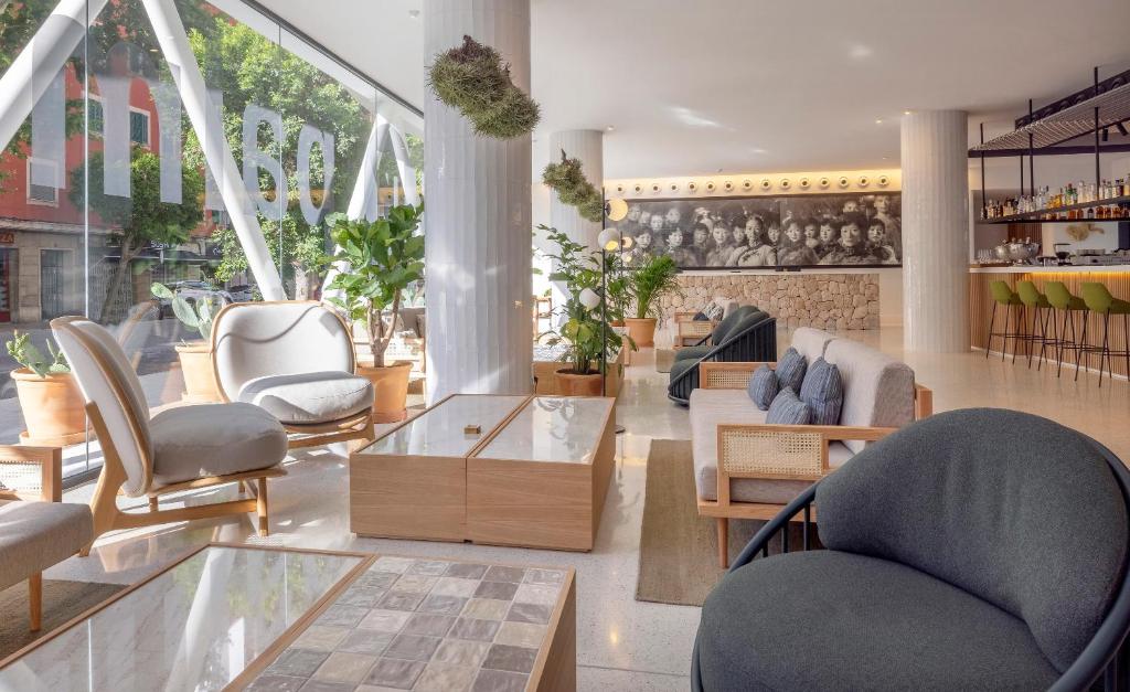 HM Palma Blanc - Resim 27