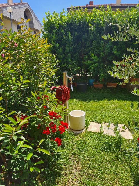 Casa Andrè - Double Room With Private External Bathroom