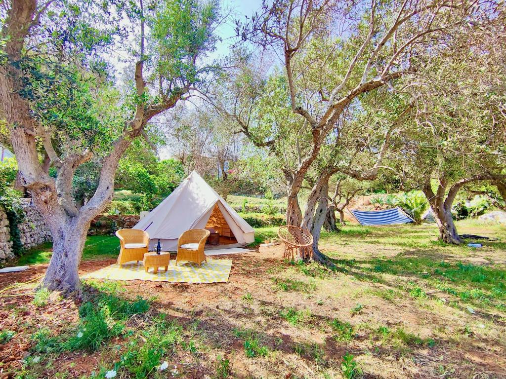 uma tenda e cadeiras num campo com árvores em La Tenda a Marina Serra di Casa Camilla Journey em Marina Serra