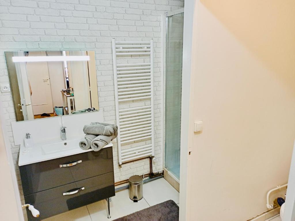 Kúpeľňa v ubytovaní 2 pièces totalement rénové au cœur de Bourges