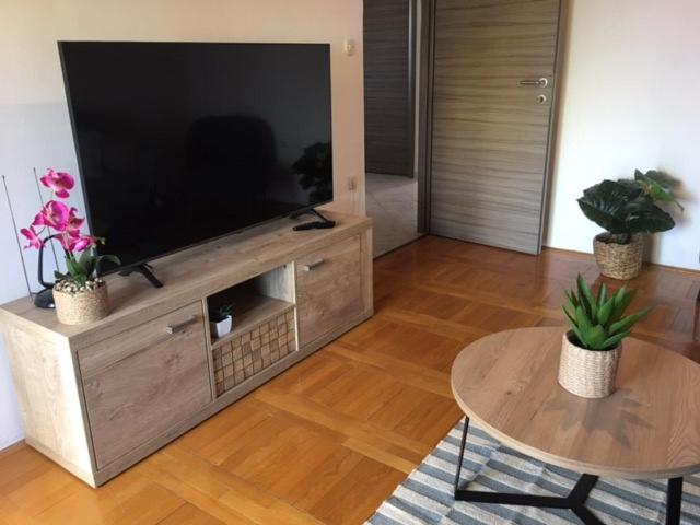 TV a/nebo společenská místnost v ubytování Apartment Nela